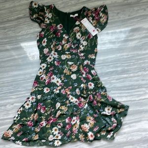 Brand New Parker Dress Never Worn With Tags